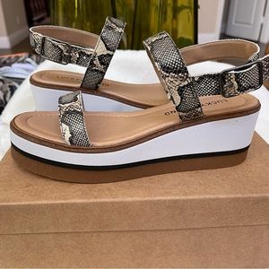 ✅NEW “Lucky Brand” Tamri Platform Sandal